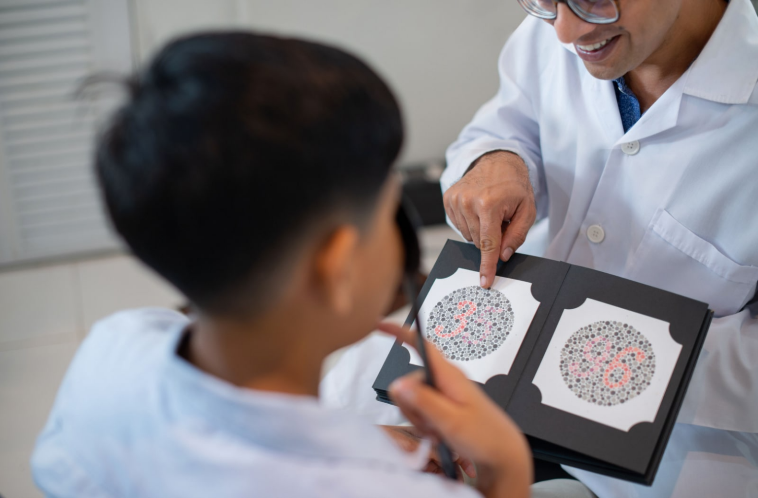 What’s the Difference Between Color Vision & Color Blindness?